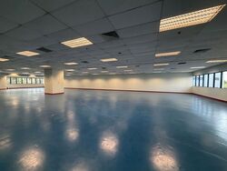 New Tech Park (D19), Factory #546756961